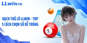 Bạch Thủ Lô LLWIN - Top 5 Cách Chọn Số Dễ Trúng