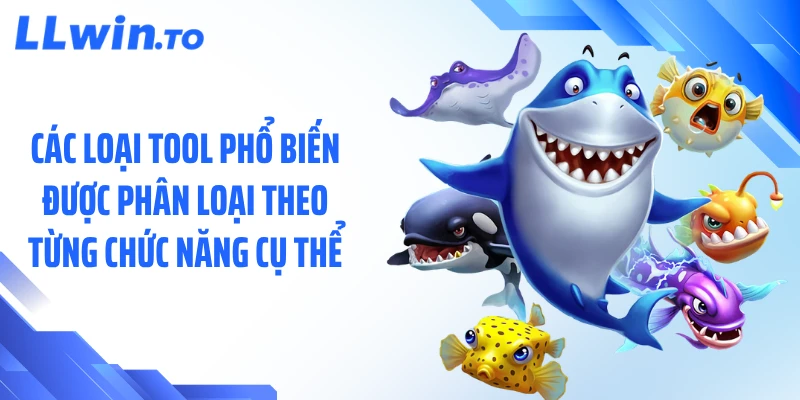 Các loại tool phổ biến được phân loại theo từng chức năng cụ thể