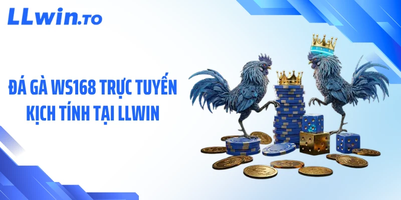 Đá Gà WS168 Trực Tuyến Kịch Tính Tại LLWIN