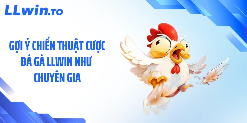 Gợi ý chiến thuật cược đá gà LLWIN như chuyên gia