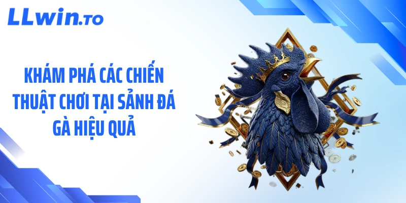 Khám phá các chiến thuật chơi tại sảnh đá gà hiệu quả