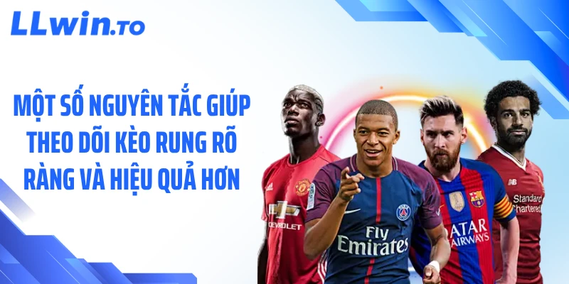 Một số nguyên tắc giúp theo dõi kèo rung rõ ràng và hiệu quả hơn