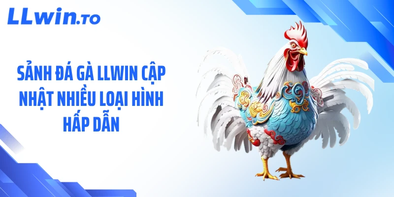 Sảnh đá gà LLWIN cập nhật nhiều loại hình hấp dẫn