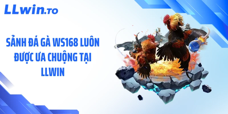 Sảnh đá gà WS168 luôn được ưa chuộng tại LLWIN