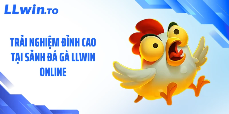 Trải nghiệm đỉnh cao tại sảnh đá gà LLWIN online